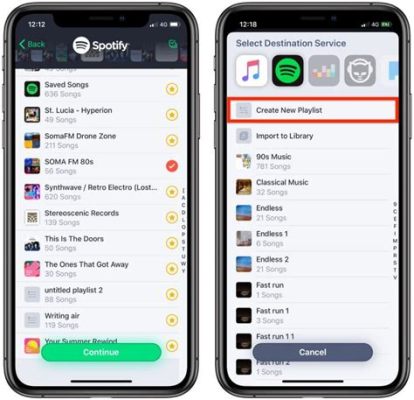 can you transfer apple music playlist to spotify and explore the intricacies of music streaming platform migrations