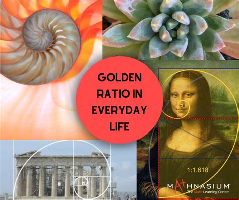 what is a fifth in music? When discussing the golden ratio in nature, we often find it intriguingly reflected in the distribution of petals on flowers and the spiral patterns of shells.